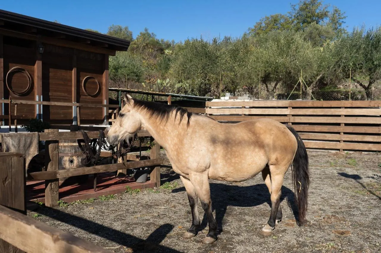 Holiday home Etna Stables Villa Piedimonte Etneo