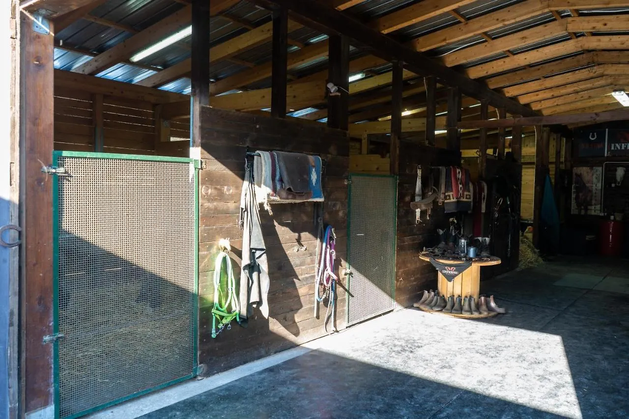Etna Stables Villa Piedimonte Etneo 0*,